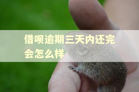 借呗逾期三天内还完会怎么样 借呗逾期三天内还完会怎么样