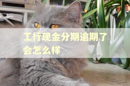 工行现金分期逾期了会怎么样