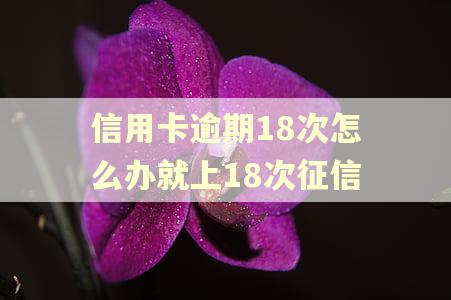 信用卡逾期18次怎么办就上18次征信