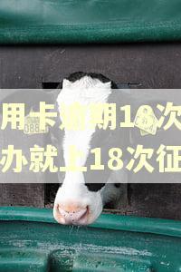 信用卡逾期18次怎么办就上18次征信