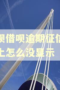 花呗借呗逾期征信报告上怎么没显示