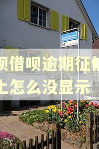 花呗借呗逾期征信报告上怎么没显示