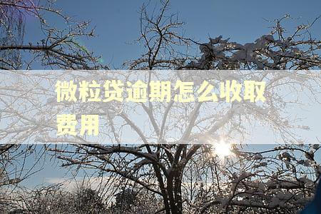 微粒贷逾期怎么收取费用