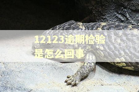 12123逾期检验是怎么回事