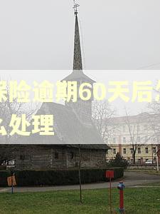 保险逾期60天后怎么处理 保险逾期60天后怎么处理
