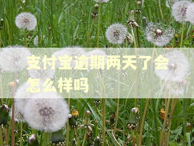 支付宝逾期两天了会怎么样吗