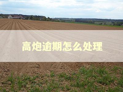高炮逾期怎么处理