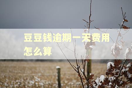 豆豆钱逾期一天费用怎么算