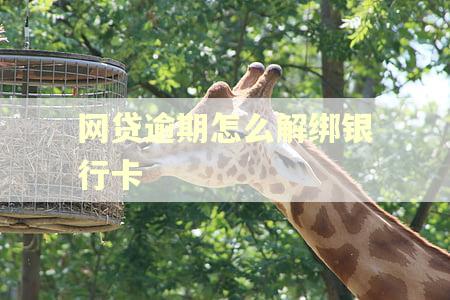 网贷逾期怎么解绑银行卡