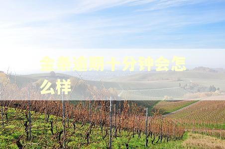 金条逾期十分钟会怎么样