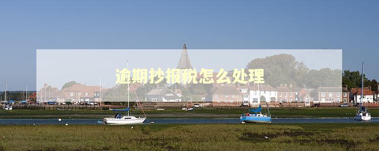 逾期抄报税怎么处理