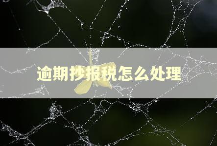 逾期抄报税怎么处理