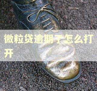 微粒贷逾期了怎么打开