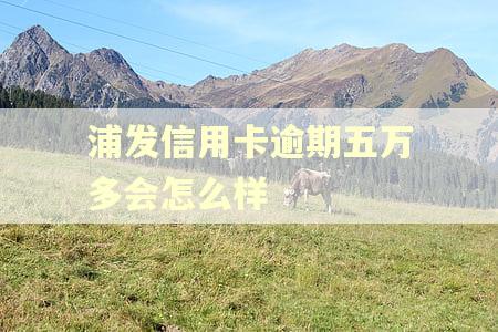 浦发信用卡逾期五万多会怎么样