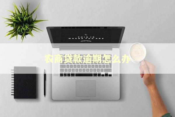 农商贷款逾期怎么办