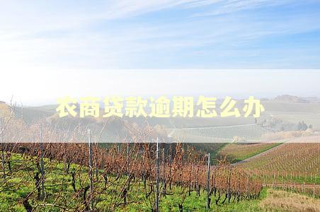 农商贷款逾期怎么办
