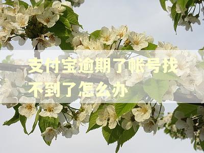 支付宝逾期了帐号找不到了怎么办