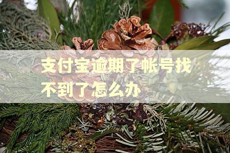 支付宝逾期了帐号找不到了怎么办