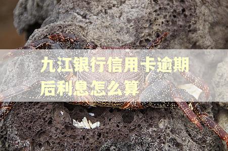 九江银行信用卡逾期后利息怎么算