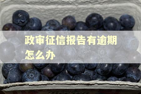 政审征信报告有逾期怎么办