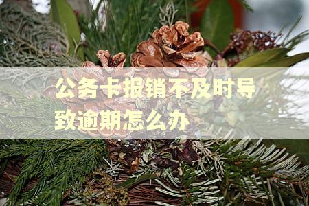 公务卡报销不及时导致逾期怎么办 公务卡报销不及时导致逾期怎么办