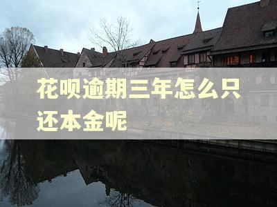 花呗逾期三年怎么只还本金呢 花呗逾期三年怎么只还本金呢