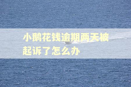 小鹅花钱逾期两天被起诉了怎么办