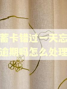 储蓄卡错过一天忘还算逾期吗怎么处理