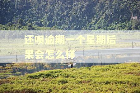 还呗逾期一个星期后果会怎么样