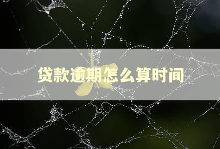 贷款逾期怎么算时间