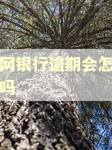 新网银行逾期会怎么样吗