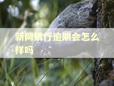 新网银行逾期会怎么样吗