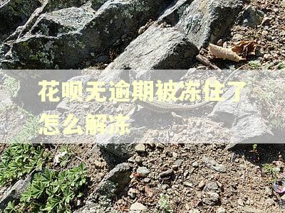 花呗无逾期被冻住了怎么解冻