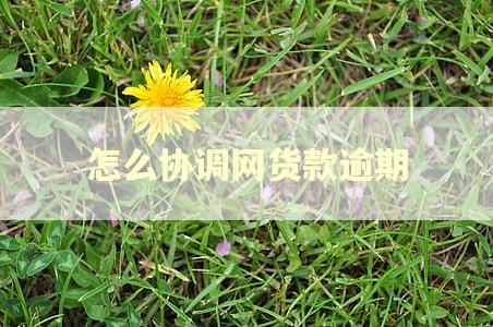 怎么协调网货款逾期