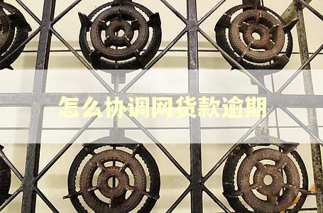 怎么协调网货款逾期