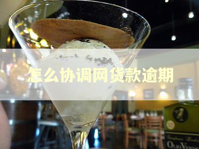怎么协调网货款逾期