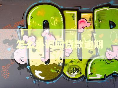 怎么协调网货款逾期