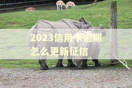 2023信用卡逾期怎么更新征信 2023信用卡逾期怎么更新征信