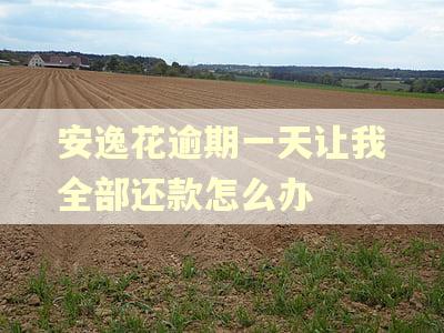 安逸花逾期一天让我全部还款怎么办