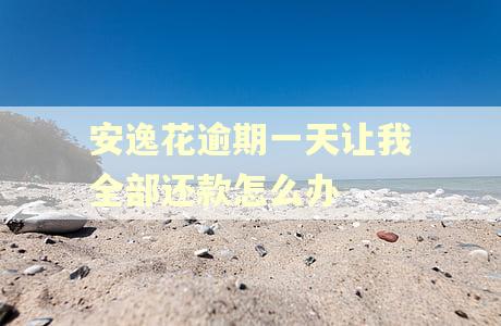 安逸花逾期一天让我全部还款怎么办 安逸花逾期一天让我全部还款怎么办