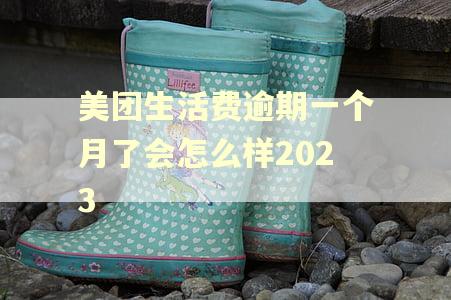 美团生活费逾期一个月了会怎么样2023