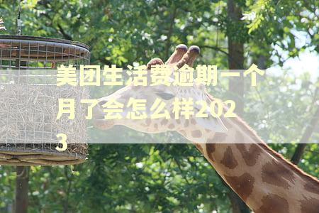 美团生活费逾期一个月了会怎么样2023