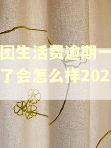 美团生活费逾期一个月了会怎么样2023