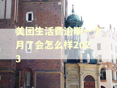 美团生活费逾期一个月了会怎么样2023 美团生活费逾期一个月了会怎么样2023