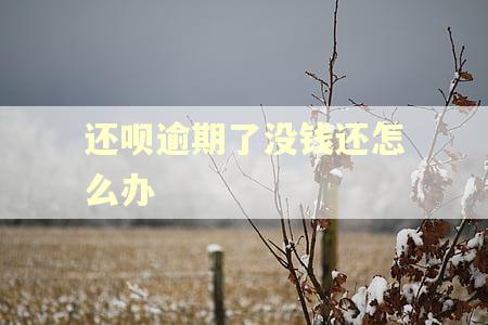 还呗逾期了没钱还怎么办