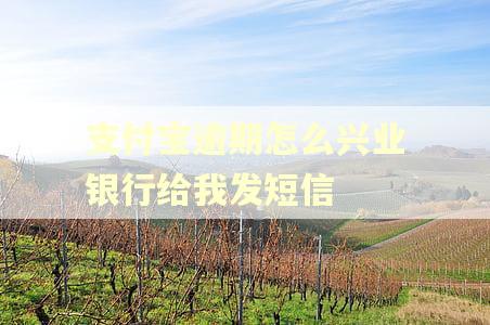 支付宝逾期怎么兴业银行给我发短信