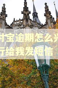 支付宝逾期怎么兴业银行给我发短信