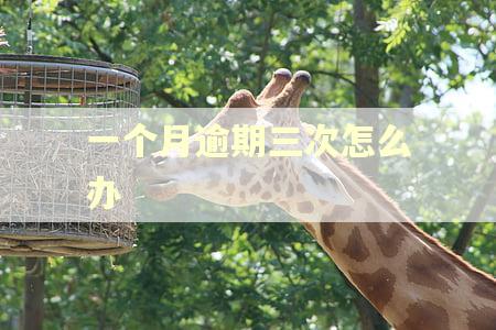 一个月逾期三次怎么办