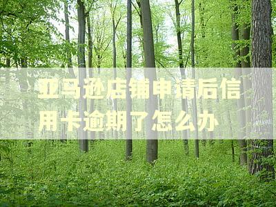 亚马逊店铺申请后信用卡逾期了怎么办