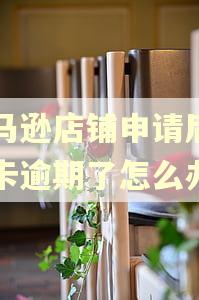 亚马逊店铺申请后信用卡逾期了怎么办 亚马逊店铺申请后信用卡逾期了怎么办